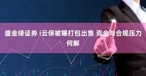 盛金缘证券 i云保被曝打包出售 资金与合规压力何解